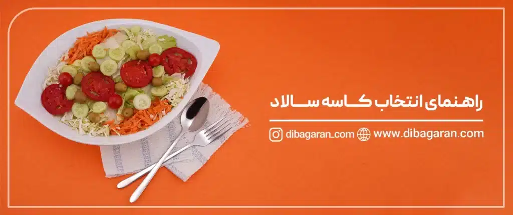 راهنمای خرید کاسه سالاد و استفاده از آن