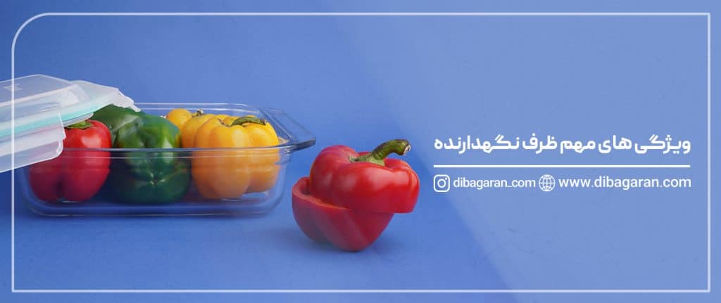 ویژگی‌های مهم ظرف نگهدارنده