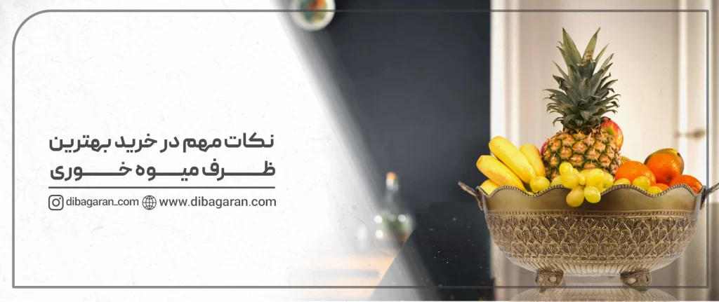 خرید بهترین ظرف میوه خوری