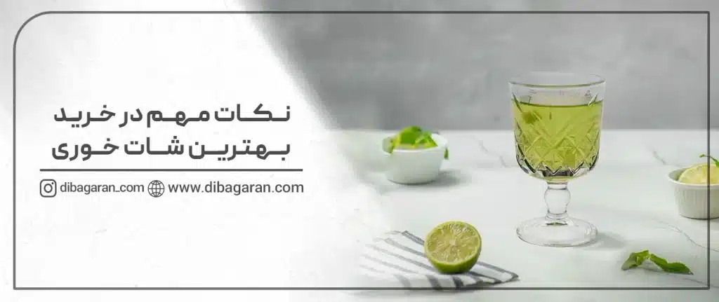 نکات مهم در خرید بهترین شات خوری