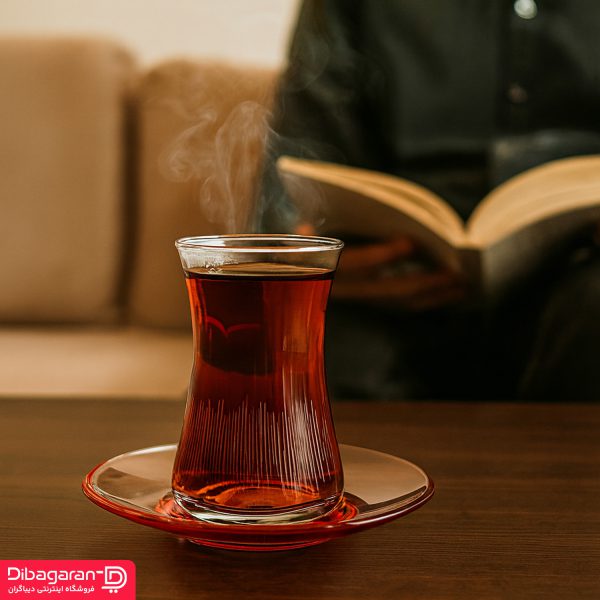 لایف استایل استکان و نعلبکی پاشاباغچه مدل هیبلی کد 95483