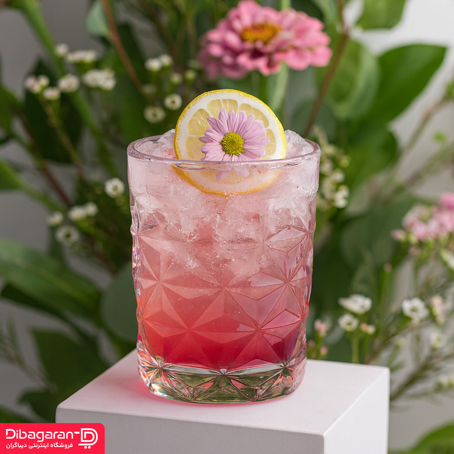 لایف استایل نیم لیوان پاشاباغچه مدل استرلا 4 عددی لایف استایل نیم لیوان پاشاباغچه مدل استرلا 4 عددی