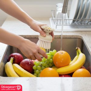 برس میوه شوی لیمون کد 1540