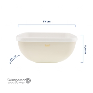 ست کاسه و آبکش لیمون چهارگوش کد 2067