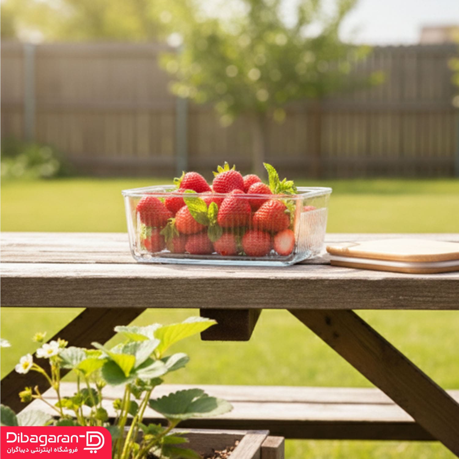 دکوراتیو ظرف نگهدارنده لیمون 3 عددی کد 2211 دکوراتیو ظرف نگهدارنده لیمون 3 عددی کد 2211