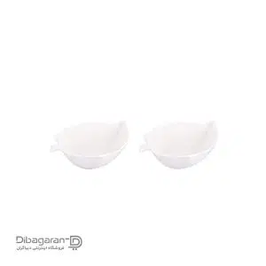 کاسه سرامیکی گلدکیش مدل برگ 2 عددی کد G201511