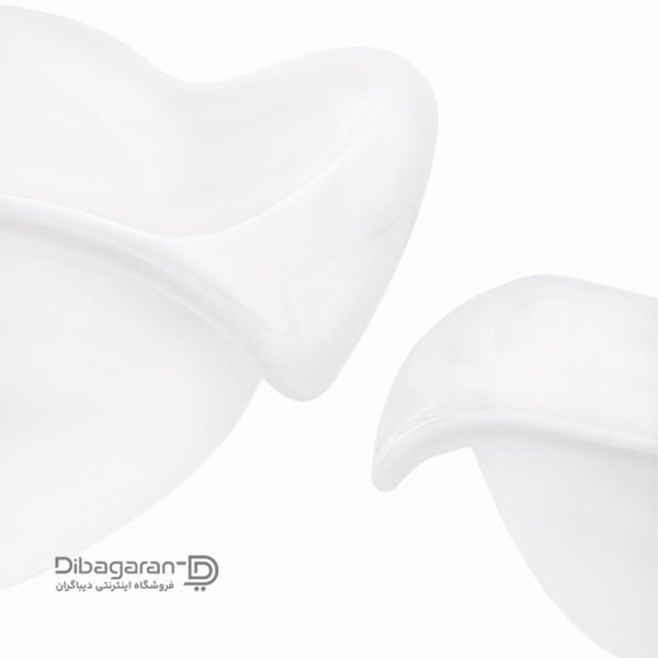 جزییات کاسه ماست خوری سرامیکی گلدکیش کد G208511 جزییات کاسه ماست خوری سرامیکی گلدکیش کد G208511