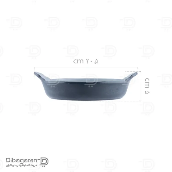 ابعاد بشقاب ملامین ساور کد 25059 طوسی