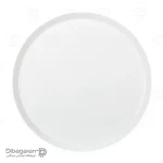 دیس گرد چینی زرین مدل فرم اس سایز 30