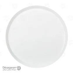 دیس گرد چینی زرین مدل فرم اس سایز 30