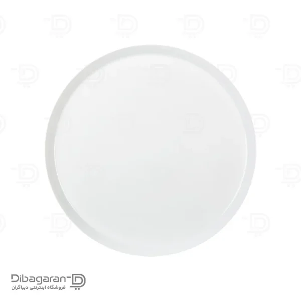 Zarin S-form flat plate size 9 بشقاب تخت چینی زرین فرم اس سایز 9