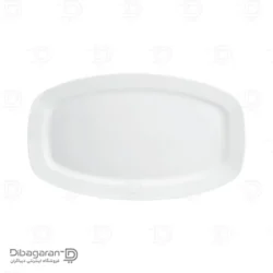دیس کباب چینی زرین مدل هتلی 49 سایز 40