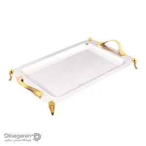 سینی استیل مستطیل ریور BG1237