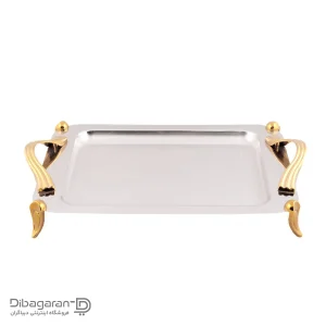 سینی استیل مستطیل ریور BG1137