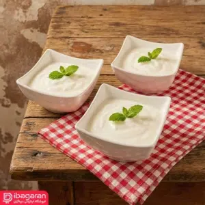 لایف استایل پیاله سرامیکی آوینا کارولین مدل 279