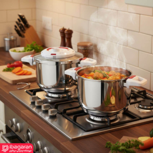 خرید زودپز استیل دوقلو ریور 3848