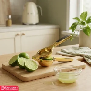 آبلیموگیر آشپزخانه ریور